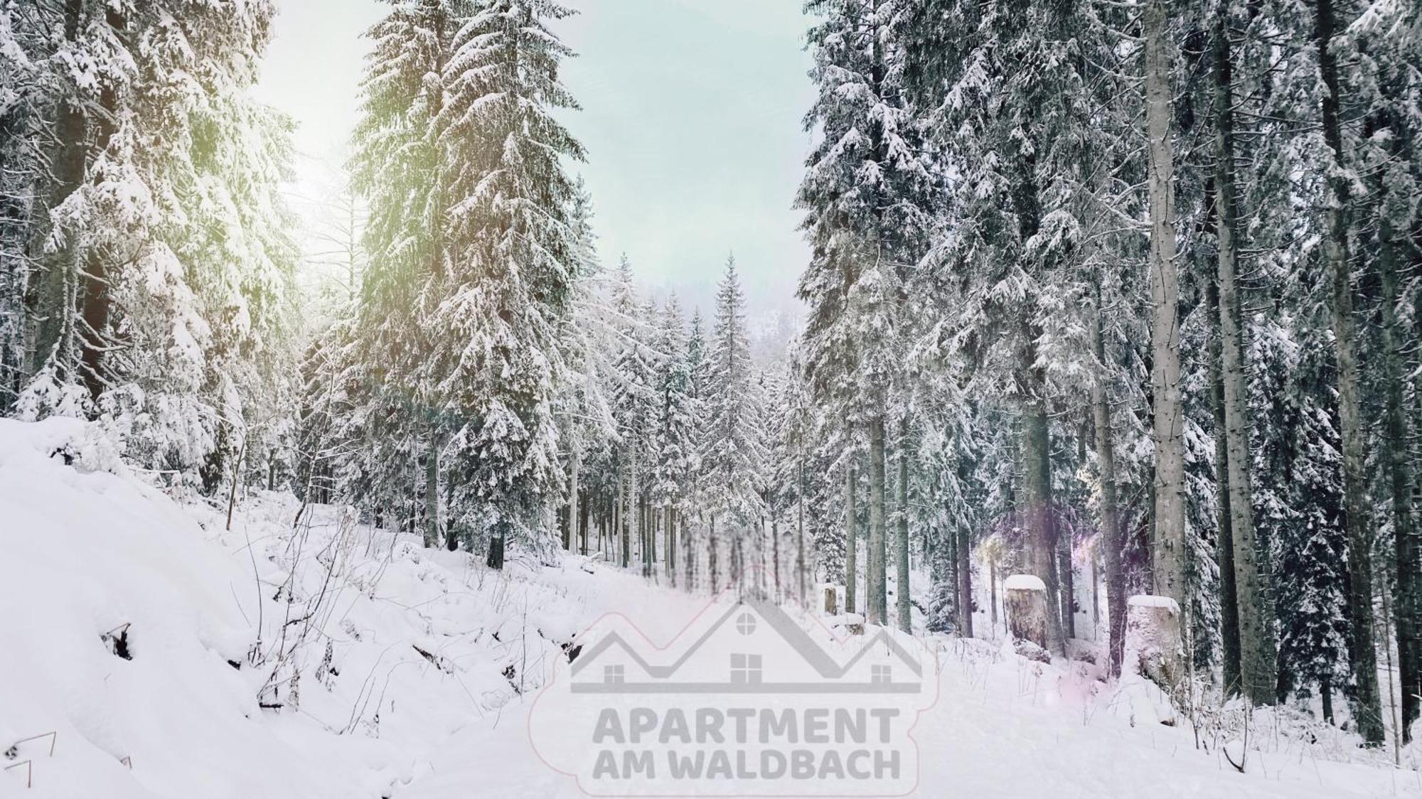 Apartment Am Waldbach Gernsbach Kültér fotó